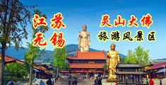 大鸡巴肏小骚屄视频在线观看江苏无锡灵山大佛旅游风景区